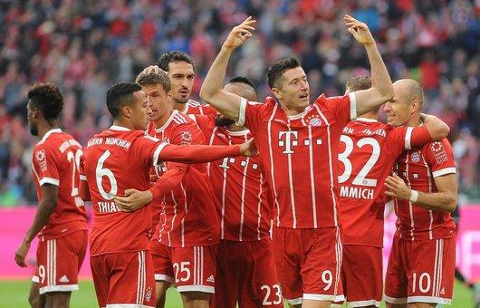 导与职业指 导与职业指