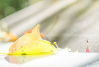 抓住機會 抓住機會