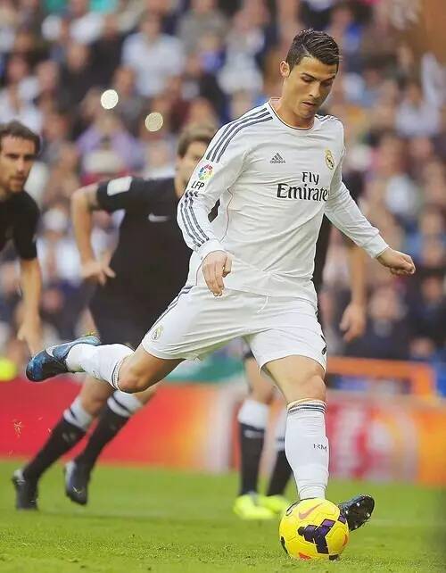 他的队友 他的队友