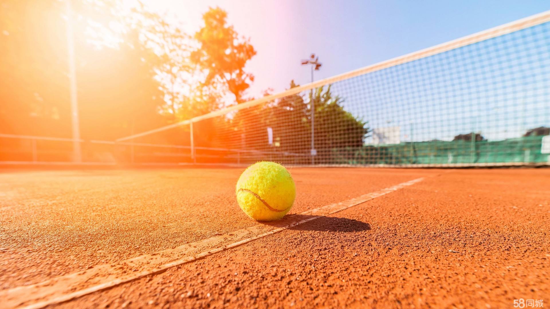 姆斯的交情 姆斯的交情