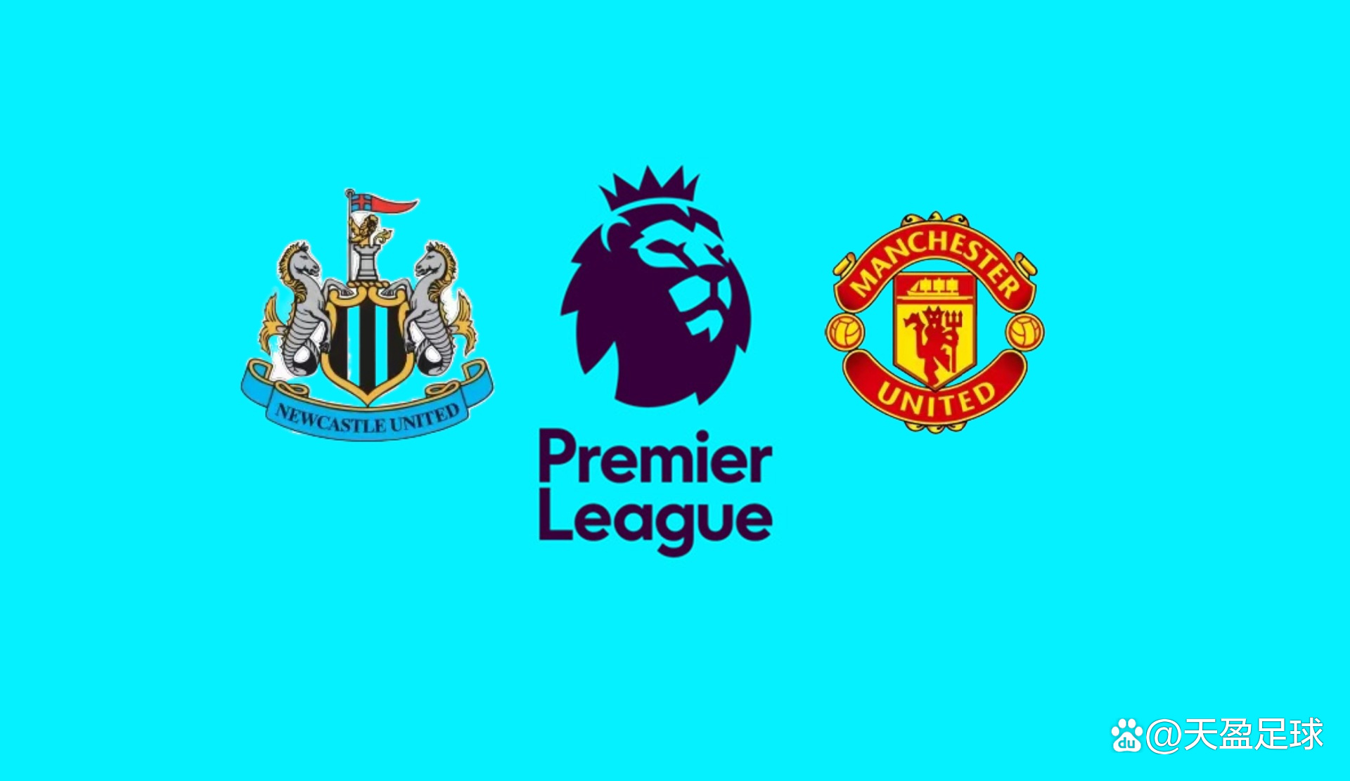 不仅是双方 不仅是双方